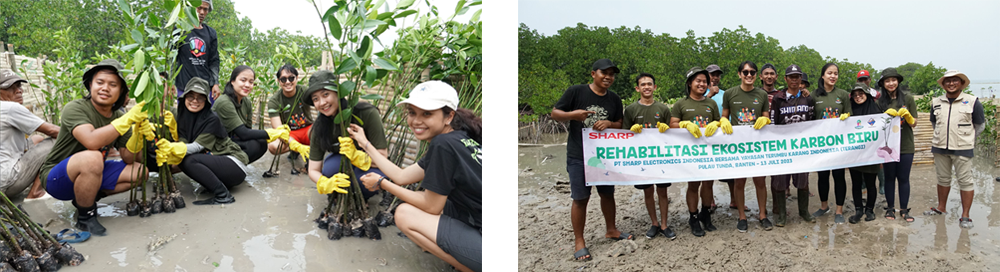 Planting trees