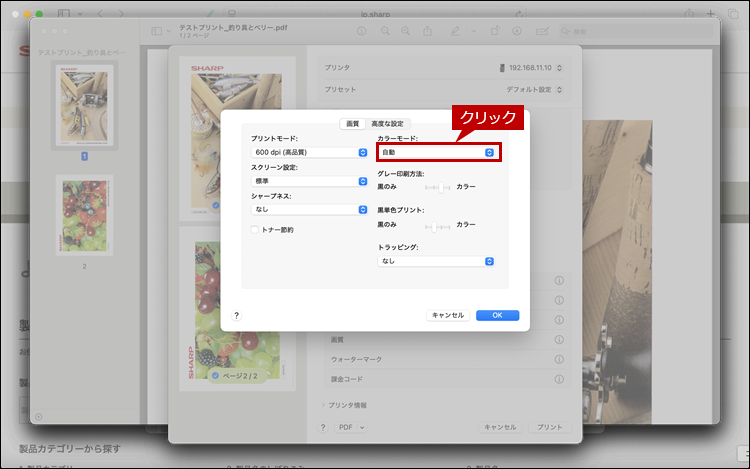 faq02293_4.png