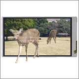 شاشة LCD باللمس ثلاثية الأبعاد—قابلة للتبديل بين وضعي ثنائي الأبعاد وثلاثي الأبعاد
