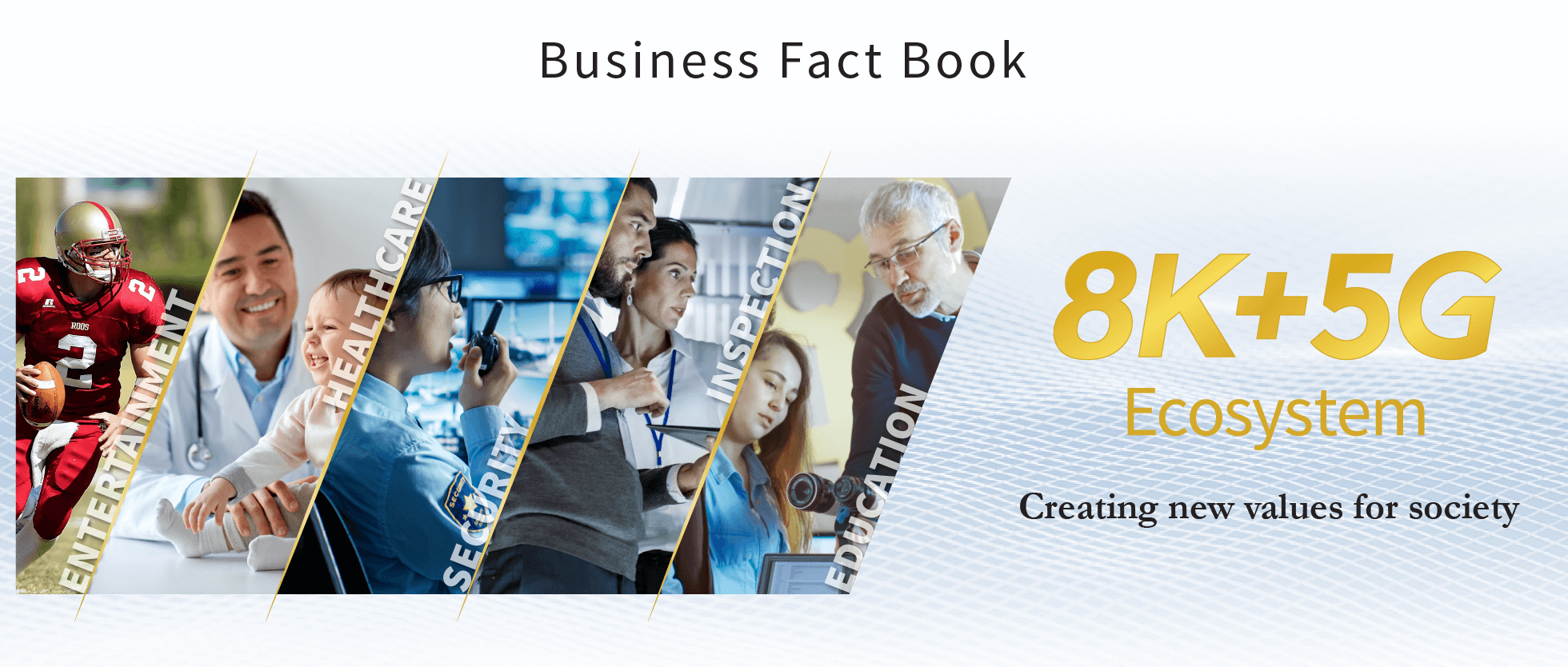 Business Fact Book: 8K + 5G Ecosystem