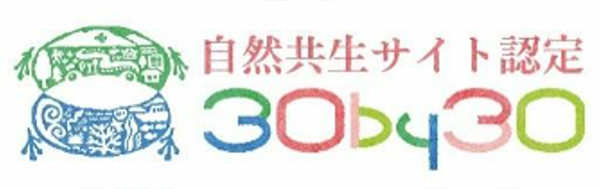 30by30 logo