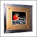 LCD Wall-Mount TV