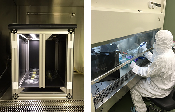 Picture of testing in the University of Shimane, Faculty of Medicine (Left: Test chamber, Right: Measuring viral infectivity titer)