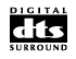 Digital Surround logo