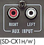 AUX INPUT