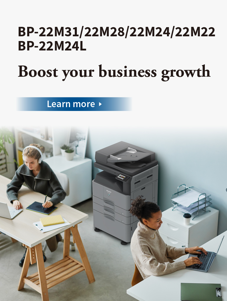 BP-22M31/BP-22M28/BP-22M24/BP-22M22/BP-22M24L